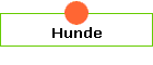 Hunde